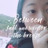 我的温柔只给你的头像