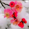 李姐，的头像