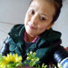 小芳的头像