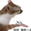o.肥婆的头像