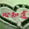 的头像
