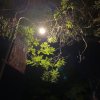 很酷的头像