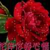 云的头像