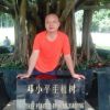 梦回秦关的头像