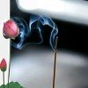 烟雨醉红尘的头像