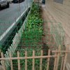 无言的头像