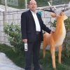 心想事成的头像