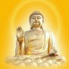 龙『歌』的头像
