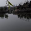 青山绿水的头像