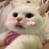 hanor_的头像