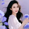 瑕美格桑花的爱恋总创的头像