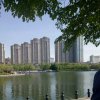 且听，风铃的头像
