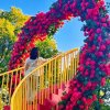 ✎ℳ๓࿏菊ཽ༙✾的头像