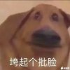 缝心的头像