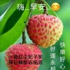 通向幸福彼岸的头像
