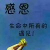 睿杰的头像