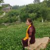 荷花的头像