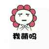 小白先森妞妞哥的头像
