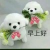 的头像