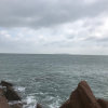 夏宇的头像