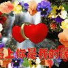 大漠苍鹰的头像