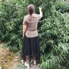 开心就好的头像