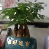 龙江家园的头像