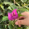 雨中虹的头像