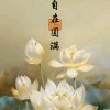 尘源小骨的头像