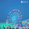 姐只听歌的头像