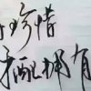 唐纯金的头像