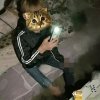 小神族小帥的头像
