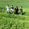 家乐的头像
