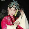 谷雨的头像