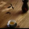 清茶一杯的头像