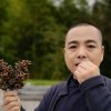 浪漫冰城：武掌门的头像