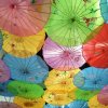 兰花的头像