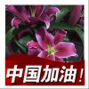 心宽如大海的头像