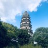 张强成的头像