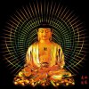 等爱的玫瑰的头像