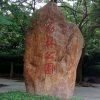  懂你 的头像