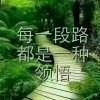 闲庭信步的头像