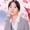 Nancy的头像