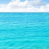 蓝知音的头像