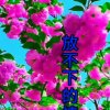 寶族幸福每一天的头像
