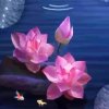 SMZ的头像