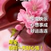 欣怡的头像