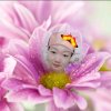 星空下漫步（小号）非听勿评的头像