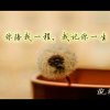 彩虹的头像
