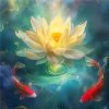 托娃【329】的头像